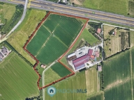 immagine annuncio 4 di 6