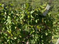 Visualizza le foto dell'immobile Visualizza le foto dell'immobile