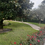 Visualizza le foto dell'immobile Visualizza le foto dell'immobile