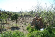 immagine annuncio 1 di 8