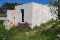 immagine annuncio 3 di 8