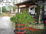 immagine annuncio 4 di 8