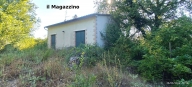 immagine annuncio 7 di 8