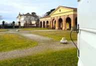 immagine annuncio 7 di 8