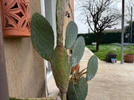 immagine annuncio 6 di 8