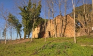immagine annuncio 3 di 8