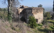 immagine annuncio 5 di 8