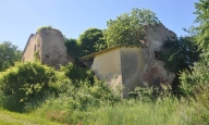 immagine annuncio 4 di 8