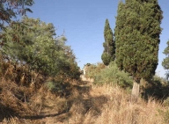 immagine annuncio 3 di 8
