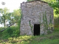 immagine annuncio 3 di 8