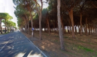 immagine annuncio 2 di 8
