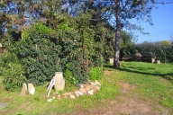 immagine annuncio 7 di 8