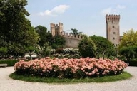 immagine annuncio 3 di 6
