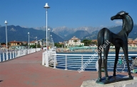 immagine annuncio 4 di 8