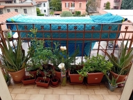 immagine annuncio 5 di 8