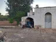 immagine annuncio 4 di 8