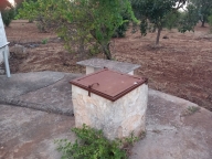 immagine annuncio 5 di 8