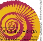 Agenzia immobiliare la conchiglia Agenzia immobiliare la conchiglia