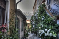immagine annuncio 5 di 8