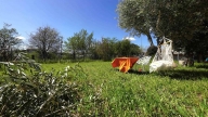 Visualizza le foto dell'immobile