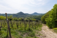 Visualizza le foto dell'immobile