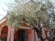 immagine annuncio 1 di 3