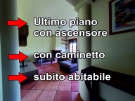 Visualizza le foto dell'immobile
