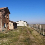 immagine annuncio 2 di 8
