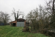 immagine annuncio 3 di 8