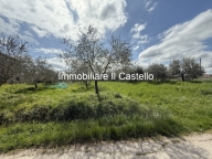 Visualizza le foto dell'immobile