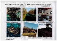 Visualizza le foto dell'immobile