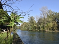 immagine annuncio 6 di 8
