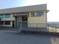 immagine annuncio 1 di 8