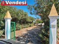 Visualizza le foto dell'immobile