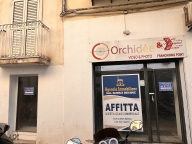immagine annuncio 4 di 8