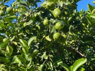 Visualizza le foto dell'immobile