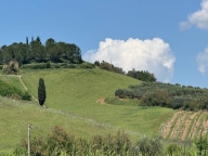 Visualizza le foto dell'immobile