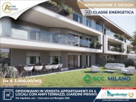immagine annuncio 4 di 8