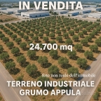 Visualizza le foto dell'immobile