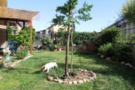 Visualizza le foto dell'immobile