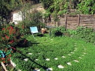 Visualizza le foto dell'immobile