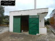 immagine annuncio 6 di 8