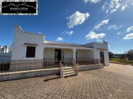 immagine annuncio 2 di 8