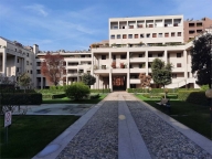 immagine annuncio 1 di 8