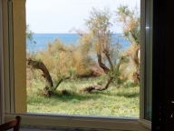 Vai alla scheda immobile Vai alla scheda immobile