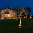 Visualizza le foto dell'immobile