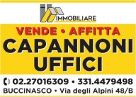 immagine annuncio 1 di 7