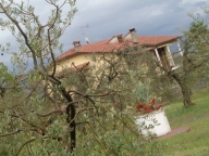 Visualizza le foto dell'immobile