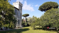 immagine annuncio 3 di 8