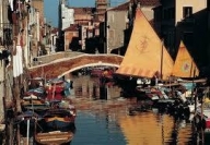 immagine annuncio 7 di 8